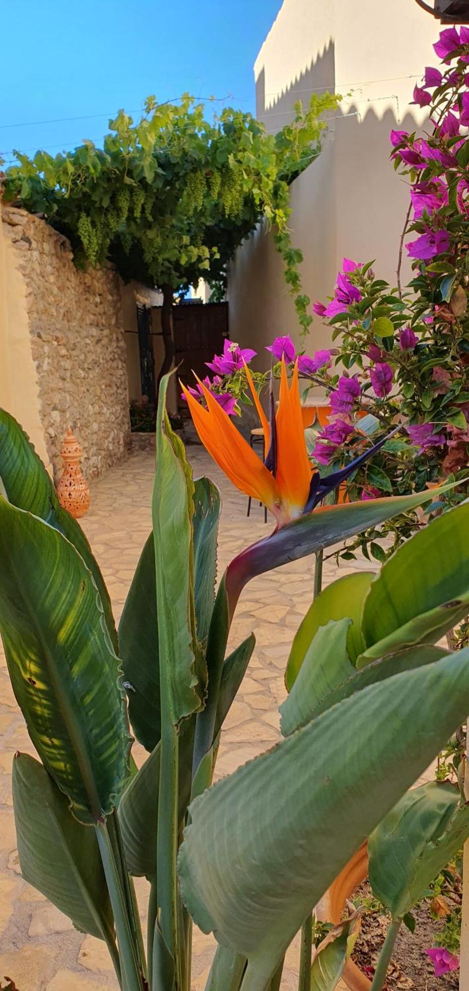 El Jardin Secreto Apartment Oria Exterior photo